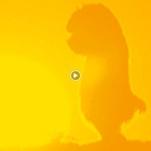 Meet your Posher, Sofia